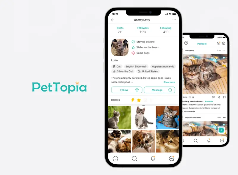 PetTopia — social mobile design